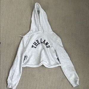Gray 'The Land' Cropped Hoodie